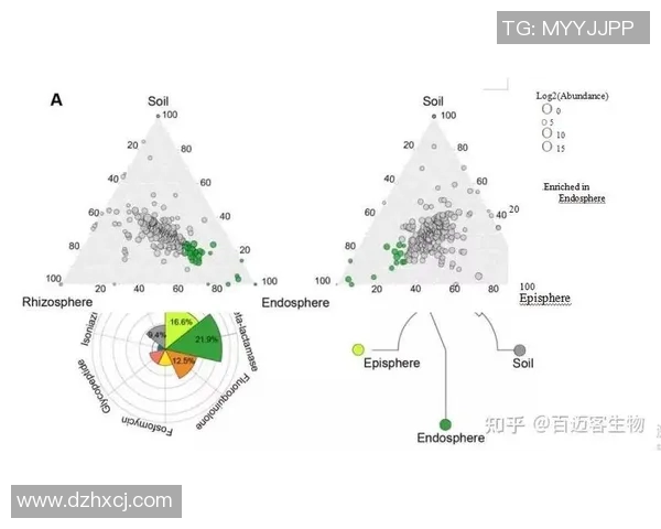 探索摩尔特里的魅力与历史深度，揭示其在文化与旅游中的独特地位